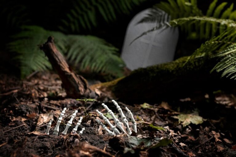uconn boneyard